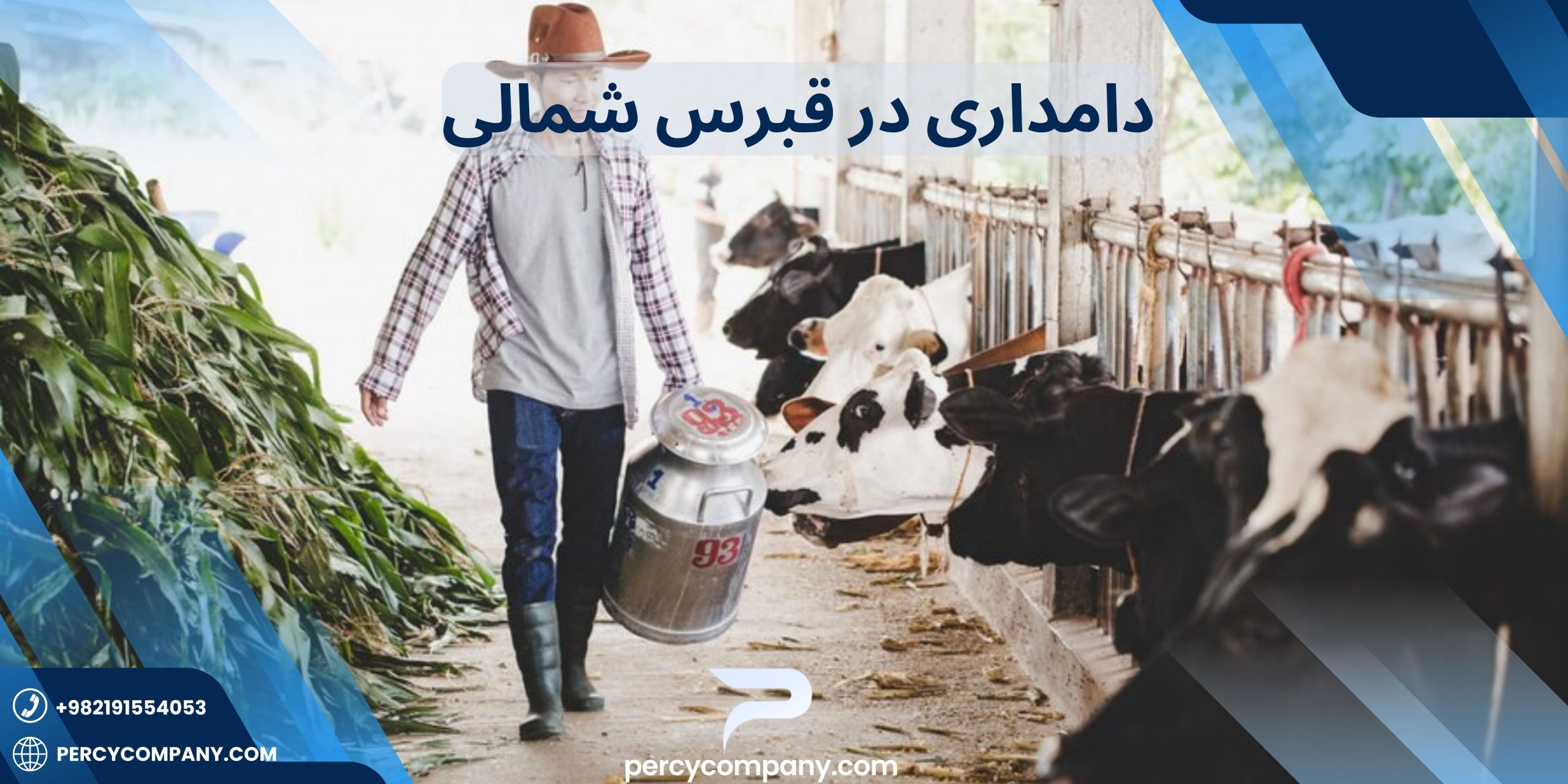 دامداری در قبرس شمالی چگونه است؟ هلدینگ پرسای