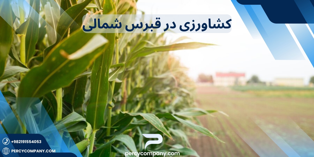 کشاورزی در قبرس شمالی چگونه است؟ هلدینگ پرسای